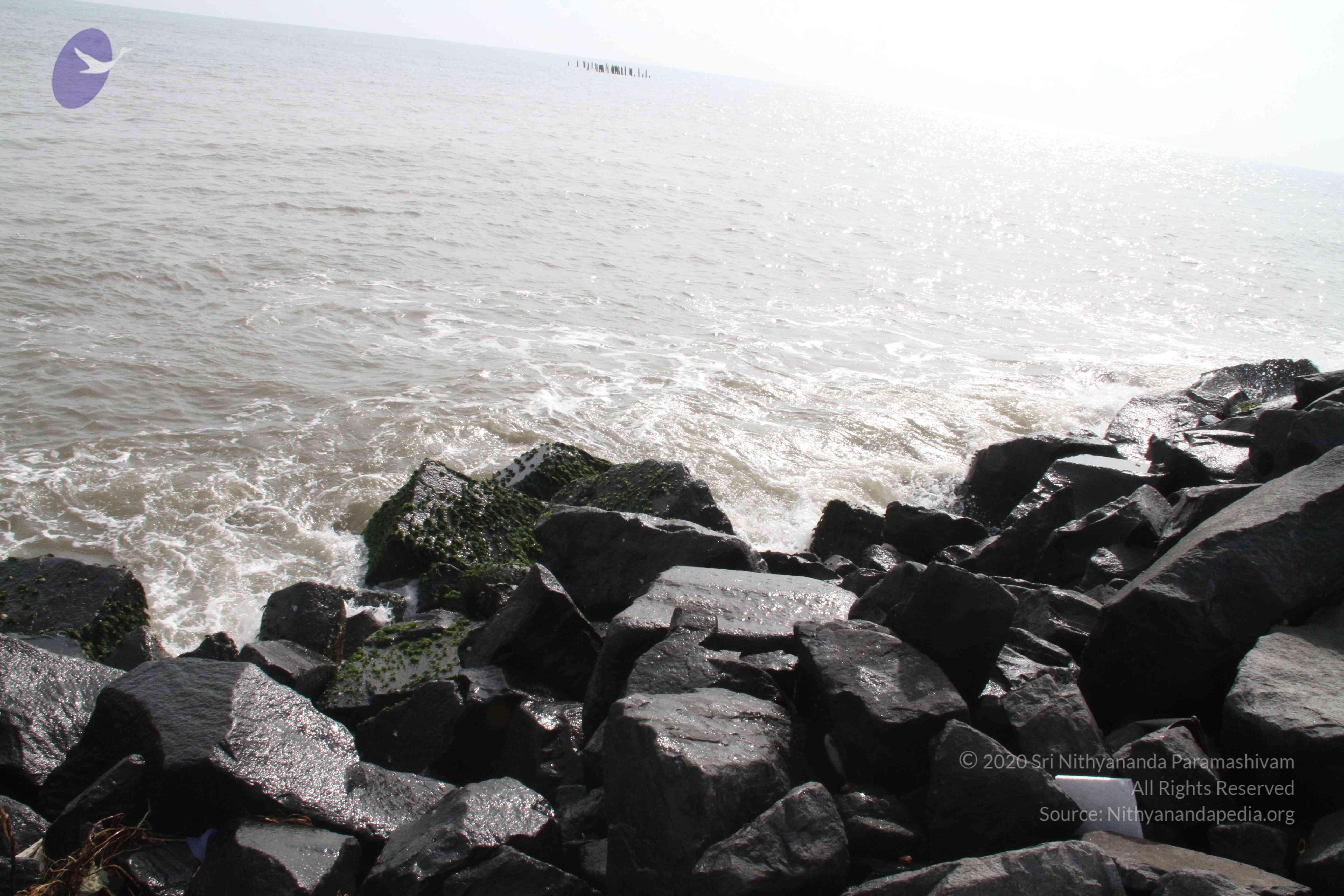 20120107_Photo_1041_IMG_5111_CMP_WM